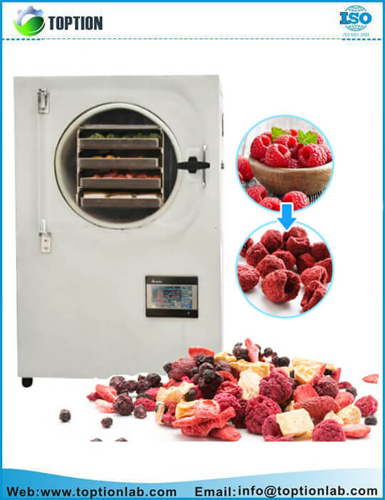 home freeze drying