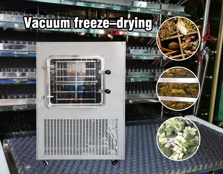 freeze dryer vacuum pressure;