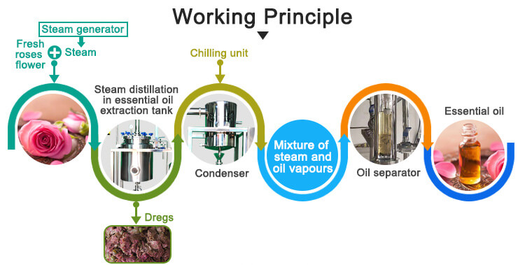 steam distillation essential oil extraction machine;