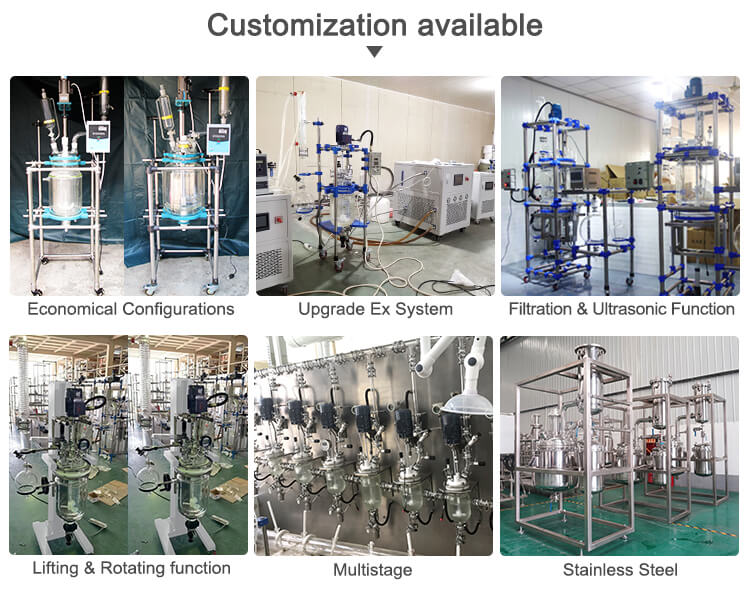 Double Layer Glass Reactor With PLC Control System, Reactor Customize;