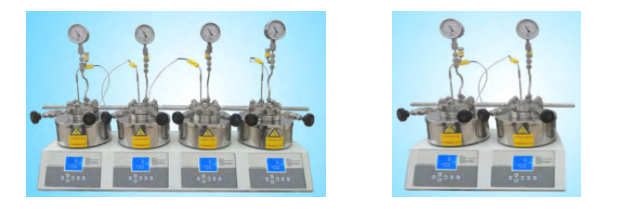 Lab Small High Pressure Reactor With Stirring;