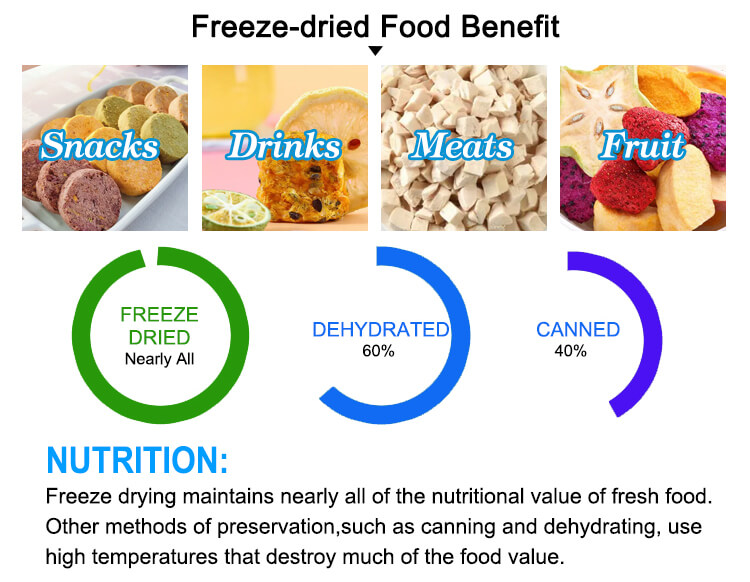 freeze-dried food;